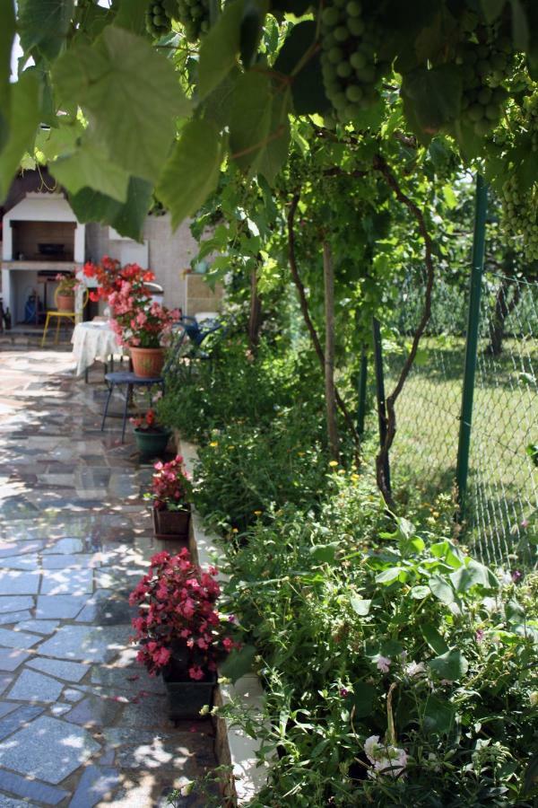 Apartment Vera Umag Buitenkant foto
